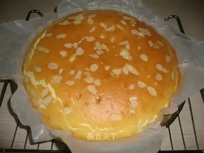 Apricot