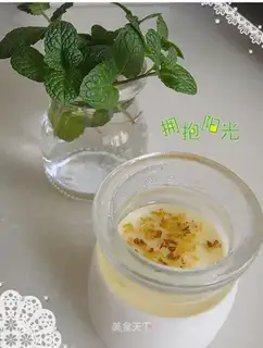 Apricot pudding