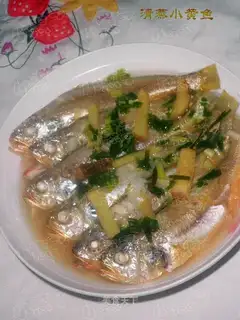 Steamed small yellow croaker