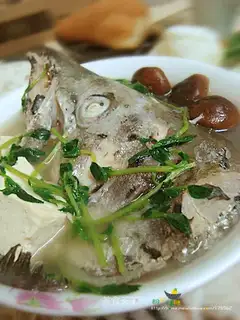 Salmon fish head tofu soup