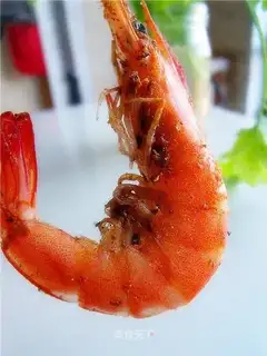 pepper shrimp