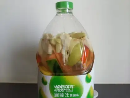Fruit yeast
