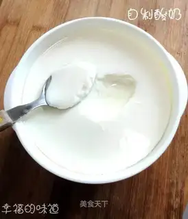 Homemade yogurt