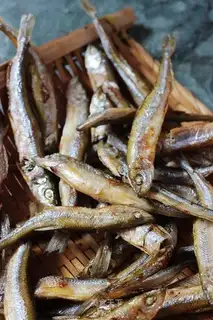 Homemade firefish