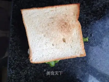 Homemade sandwiches