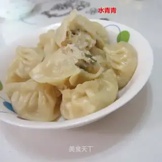 Pork cabbage dumplings