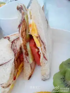 A simple sandwich