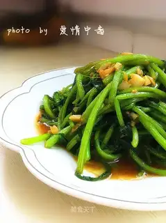 Garlic artery