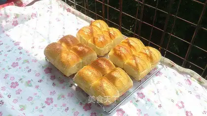 Chinese coconut-cracker
