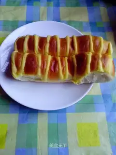caterpillar toast