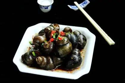 The snail