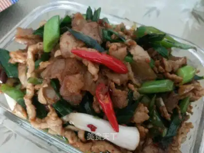 Fried meat