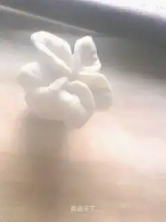'How to make fancy dumplings