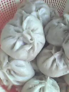 Chinese cabbage meat dumplings