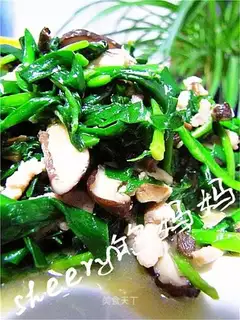 stir-fried shredded pork with leeks and mushrooms