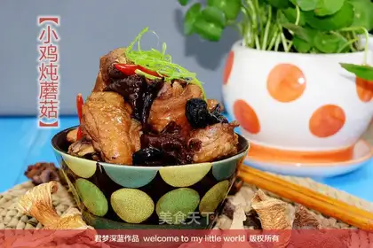 Chicken stew mushrooms