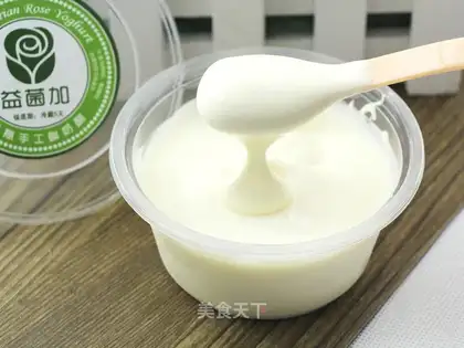 Old yoghurt