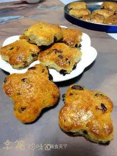Cranberry coconut scone