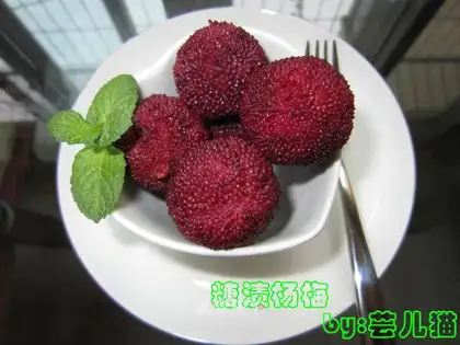 ♪ Sugar ♪
