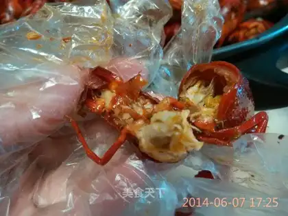 Shrimp