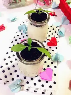 A healthy pot of yogurt