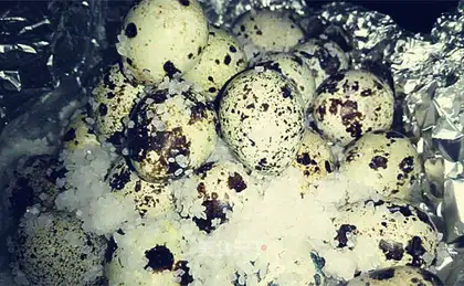 Salted eggs