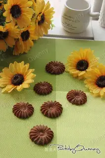 Sunflower Coco Cookie