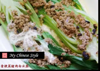 Steaming vegetable protein