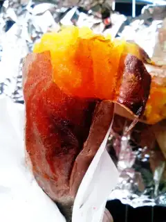 Roast pot
