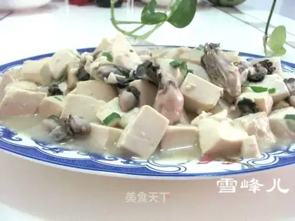 Oyster tofu
