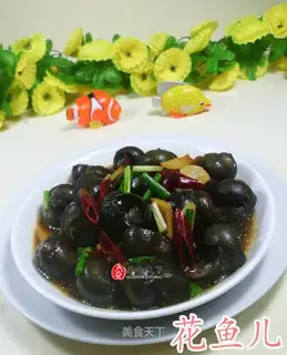 The snail