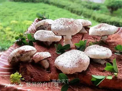 Little mushrooms