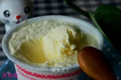 Yogurt ice cream