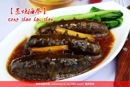 Burning sea cucumber