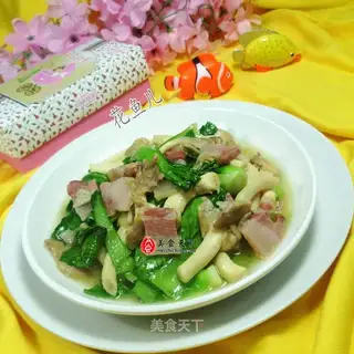♪ A chrysanthemum mushroom ♪