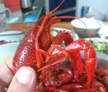 Crawfish