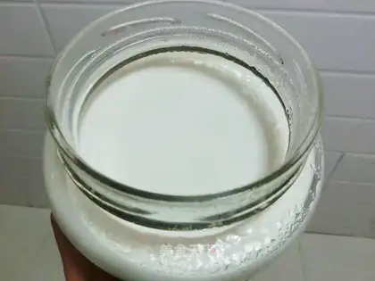 Bread make yogurt