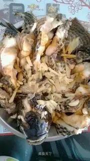 Peacock Open