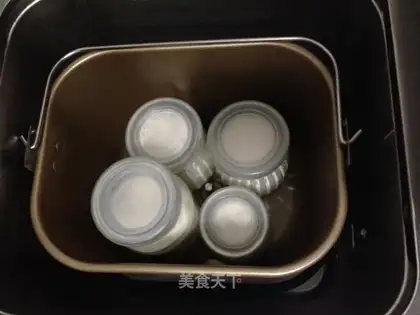 Homemade yogurt