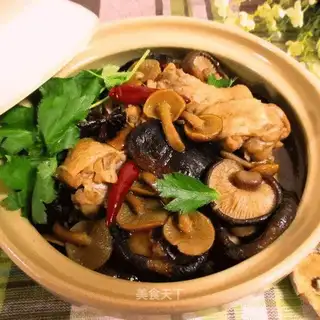 Chicken stew mushrooms