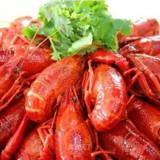 Taste lobster