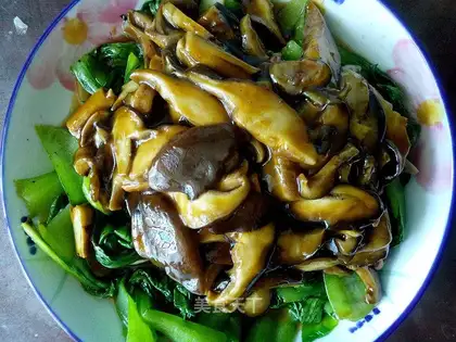 Mushroom oil