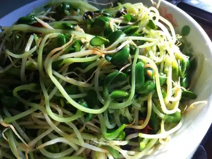 Black bean sprouts