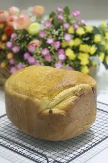 Bread machine for toast