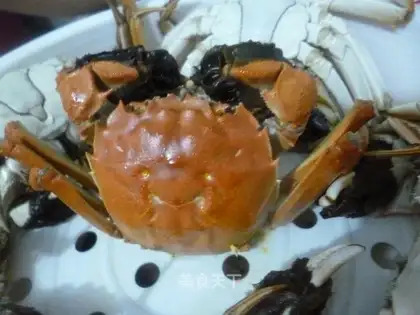 Crabs