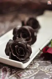 Chocolate roses