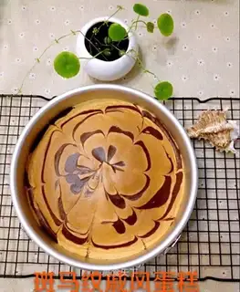 Zebra Zephyr cake