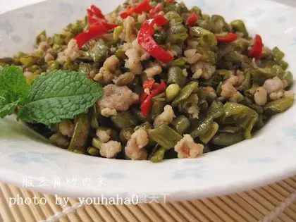 Sourbeans