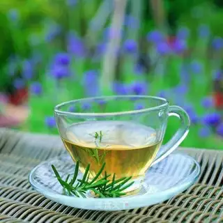 Pine needle tea