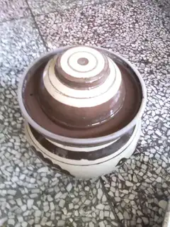 Homemade pickles